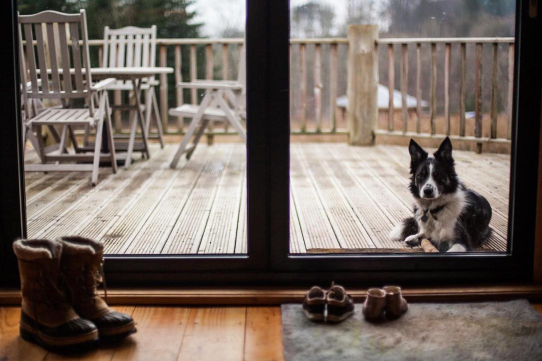 Coed Y Marchog Woodland Retreat Villa Hereford Kültér fotó