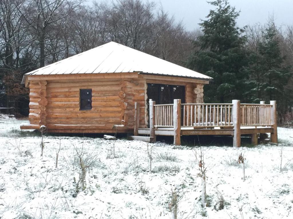 Coed Y Marchog Woodland Retreat Villa Hereford Kültér fotó